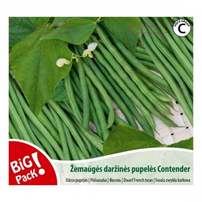 ŽEMAŪGĖS DARŽINĖS PUPELĖS Contender, 20 g